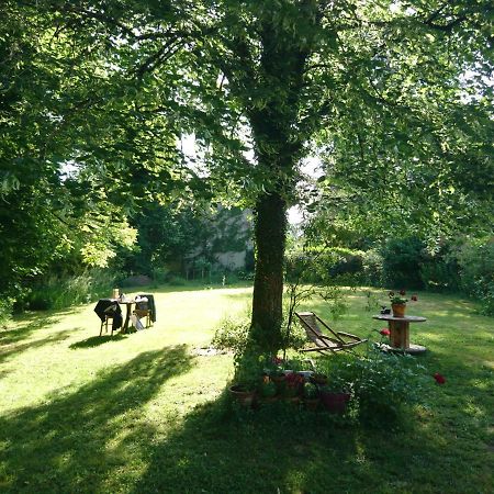 Grange Renovee Et Son Jardin Dans L'Avant Pays Savoyard Champagneux Luaran gambar